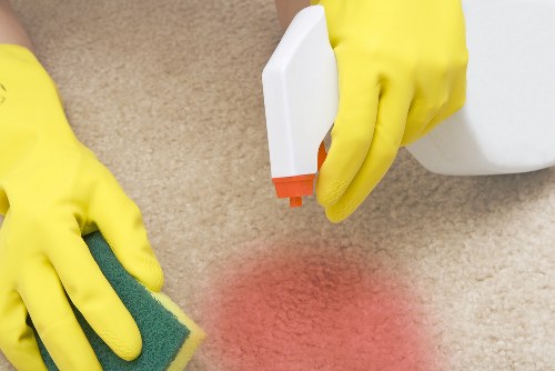 Professional steam carpet cleaning for a Camden home interior