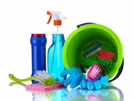 Camden pet odour treatment for a sofa and carpet in a residential property