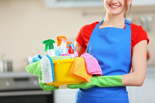 Regular cleaning service for a Camden home and hallway