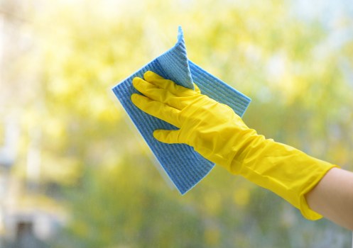 Local Camden cleaners handling detailed dusting and surfaces