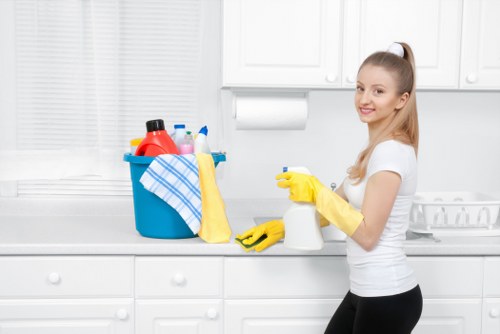 Regular domestic cleaning for families and shared homes in Camden