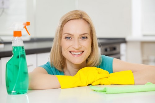 Cleaning support for a Camden home with access and parking considerations