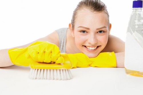 Preparing a rug for cleaning in a Camden home or business