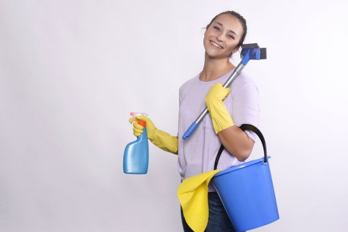Cleaning a living room and hallway in a Camden rental home