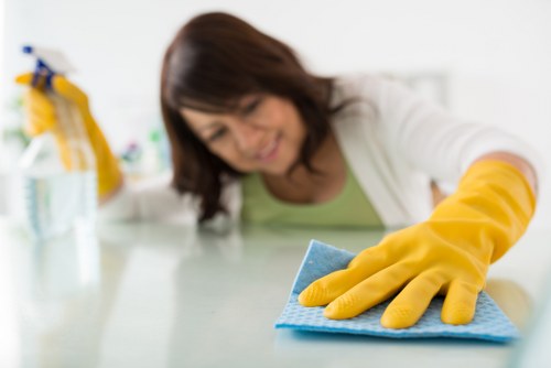 Oven cleaning for Camden households and commercial kitchens