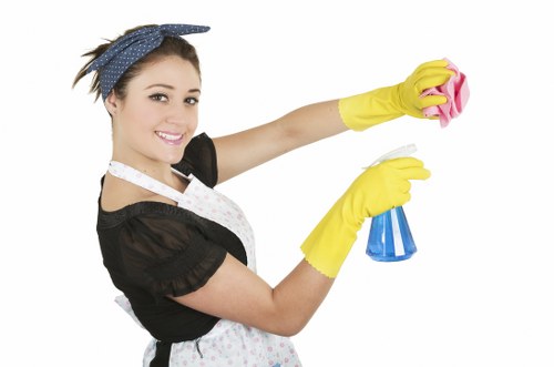 Pet stain removal service in a Camden apartment with carpet and rug cleaning