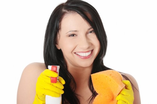 Post-renovation cleaning of windows and fixtures in a Camden property