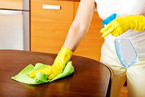 Local cleaner preparing a Camden home for guests
